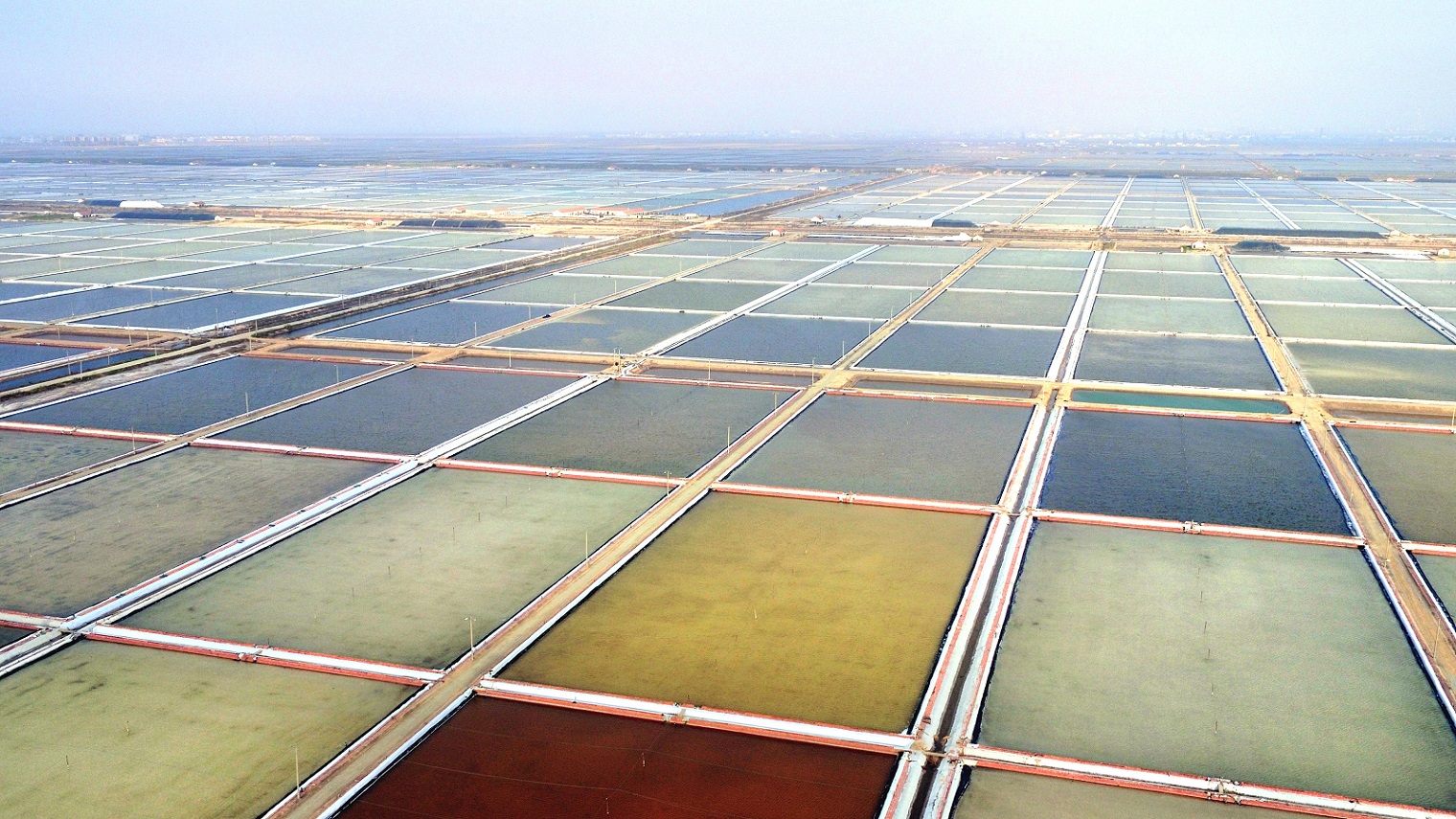 /gb2312/qishiyegonghui/15098.html